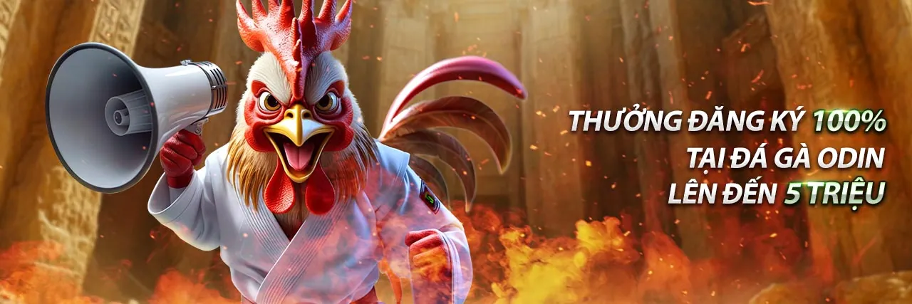 Biểu ngữ Chính sách quyền riêng tư Vicwin iOS